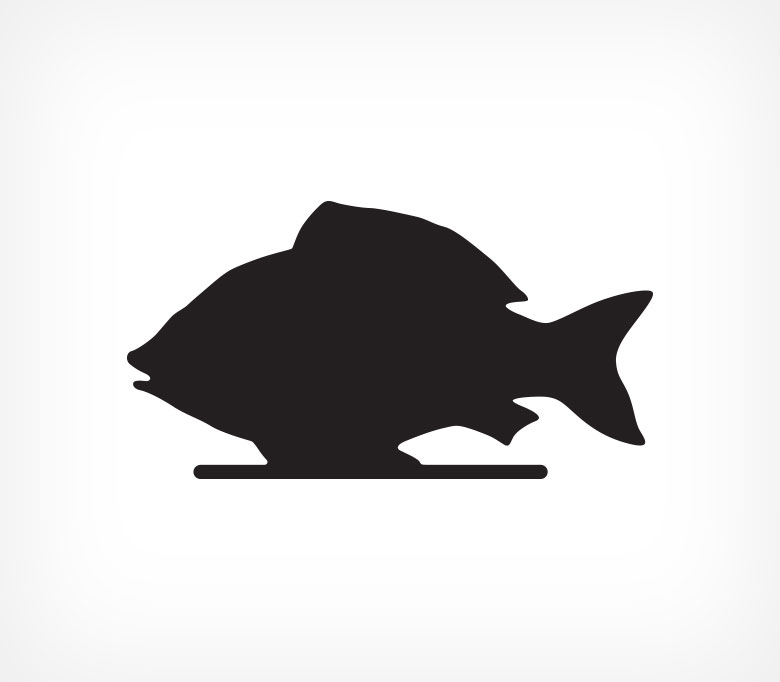 картинка Меловая табличка "Рыба" BB FISH